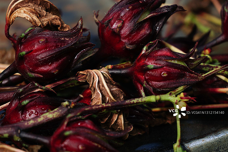 洛神花花萼图片素材