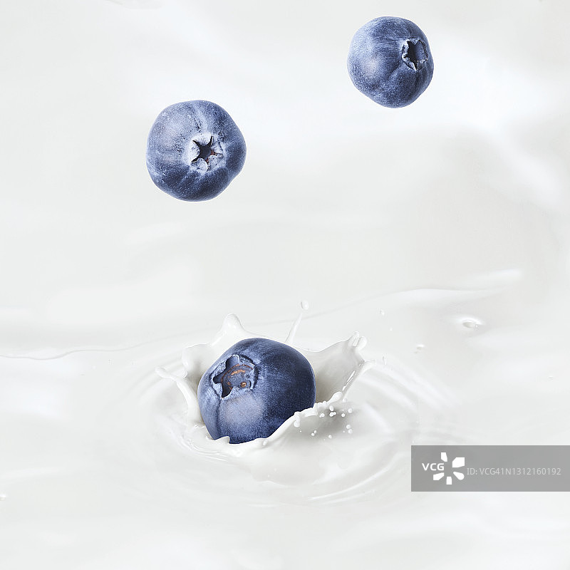 蓝莓掉入牛奶中图片素材