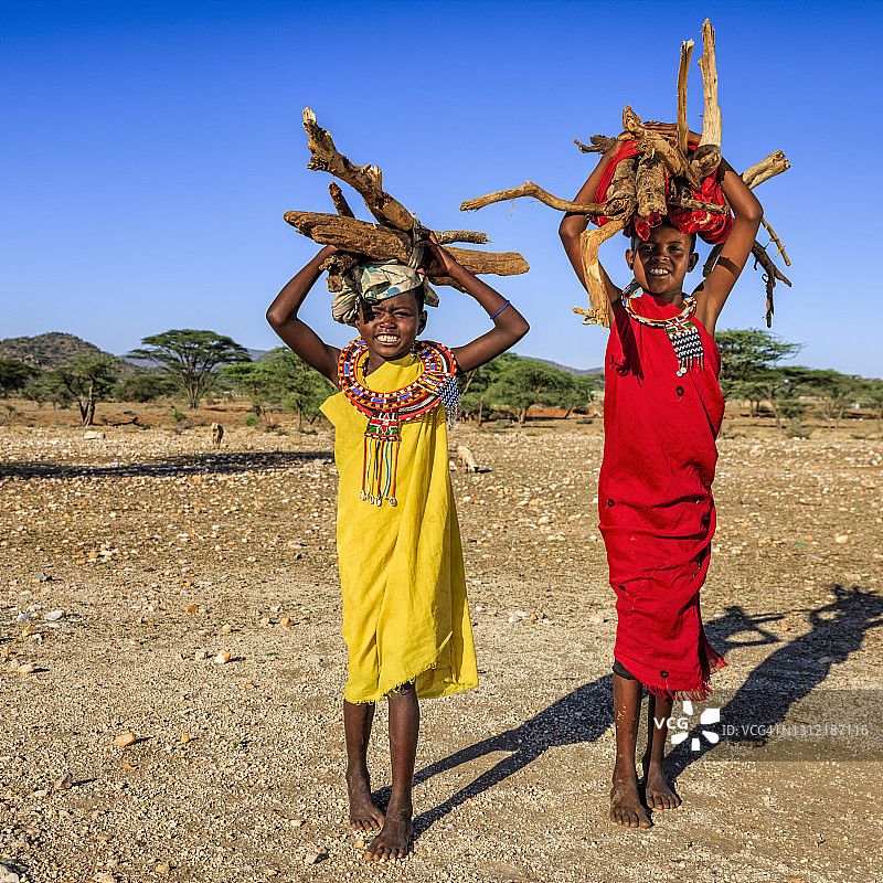两名非洲小女孩在肯尼亚的稀树草原上 carrying brushwood图片素材
