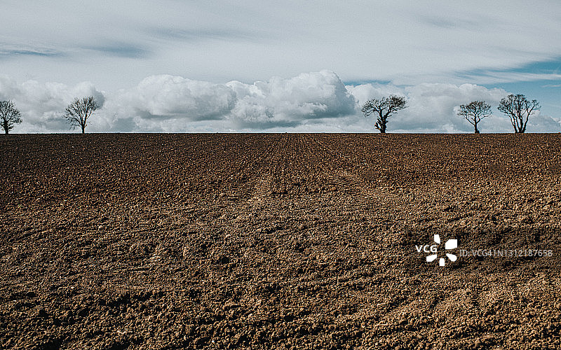 美丽的耕地和天空景色图片素材