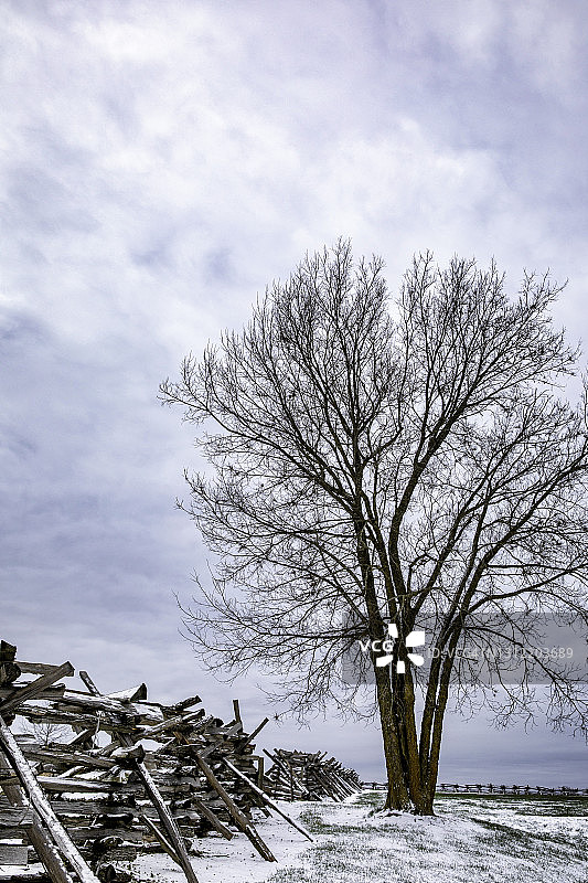 冬季内战时期的栅栏和树木图片素材
