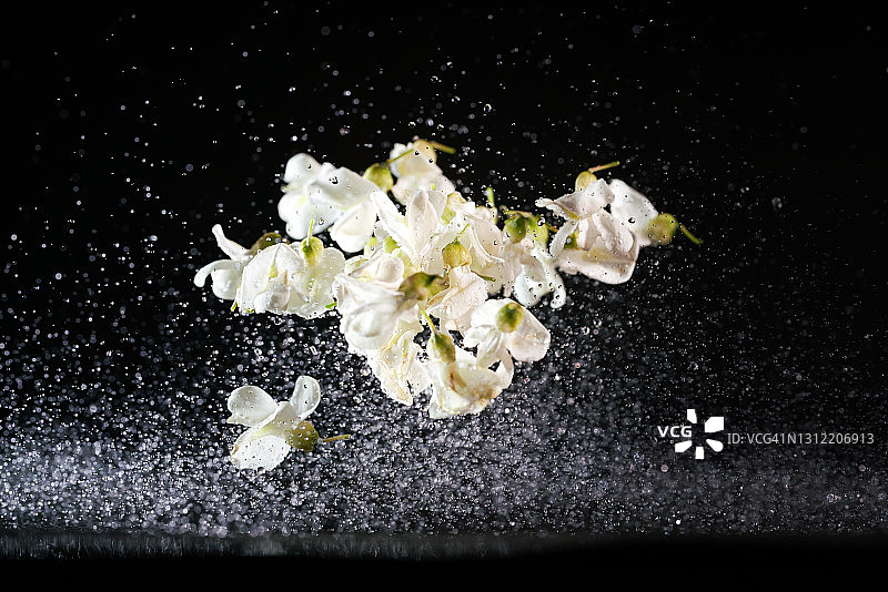 使用高速同步拍摄的半空中飞舞的槐花图片素材