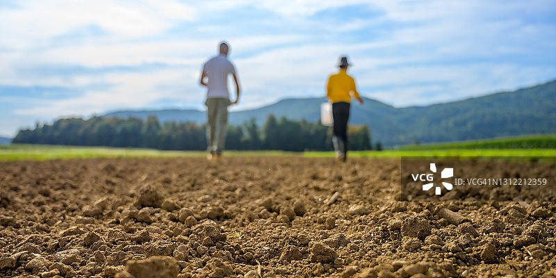 人们在田野中播种，聚焦棕色土块图片素材