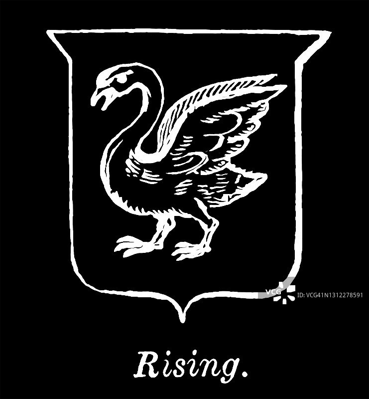 纹章学：上升纹章古老雕刻插图图片素材