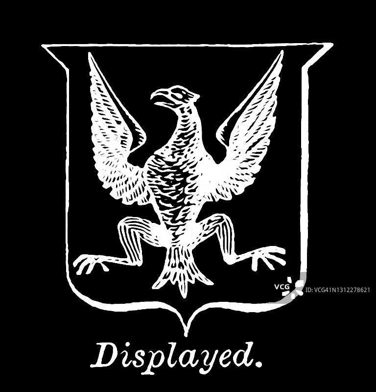 纹章展示古老雕刻插图图片素材