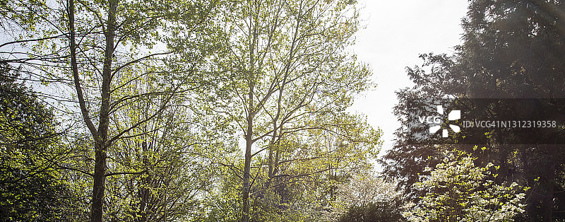 美国佐治亚州亚特兰大城市公园图片素材