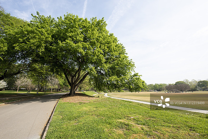 美国佐治亚州亚特兰大城市公园图片素材