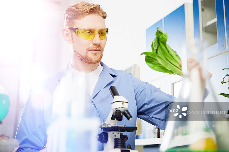 在实验室工作图片素材