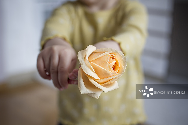 手捧鲜花的儿童图片素材