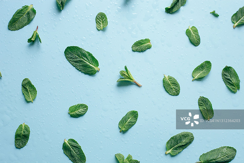 蓝色背景上的薄荷叶图片素材