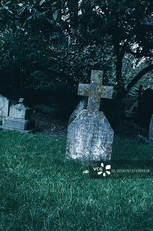 有树和绿草的老坟墓图片素材