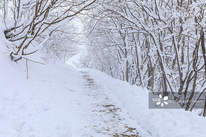 冬季雪景：韩国大关岭风光图片素材