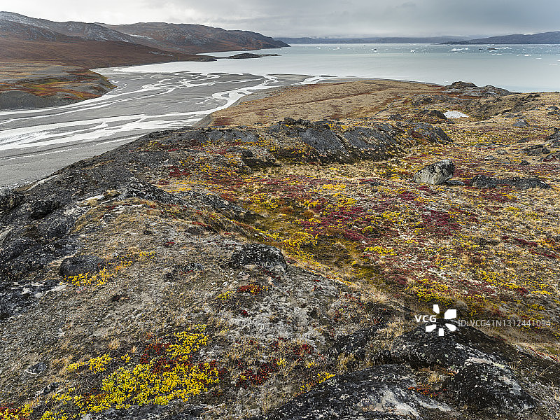格陵兰岛冰川附近的苔原图片素材