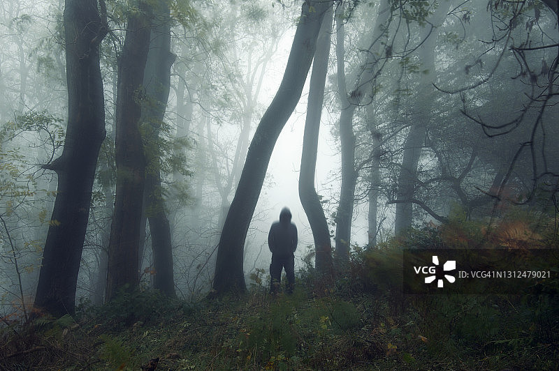 阴暗多雾的秋季森林中，一个可怕的兜帽身影图片素材