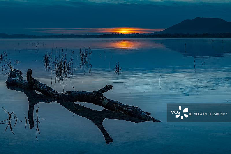 德国巴伐利亚州福尔根湖蓝调时光水面上的树干倒影图片素材