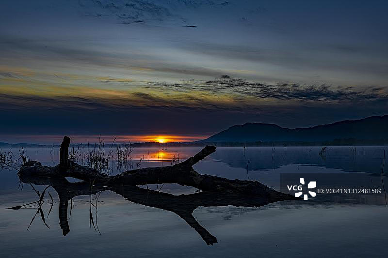 德国巴伐利亚州福尔根湖蓝调时光水面上的树干倒影图片素材