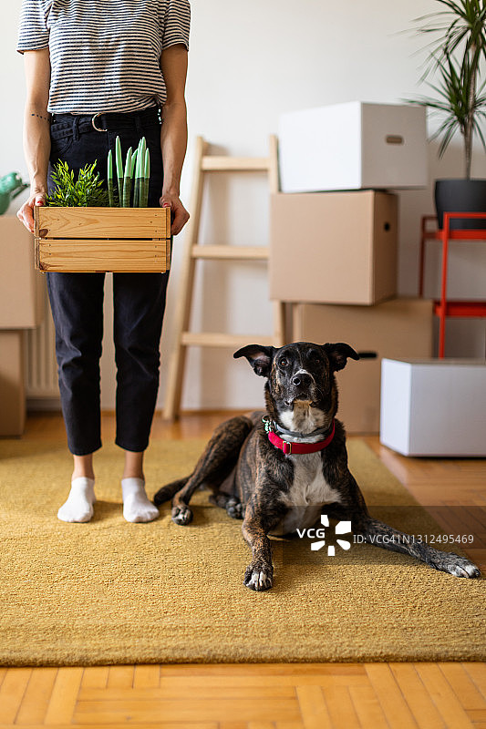 无法辨认的白人女子搬进新家图片素材