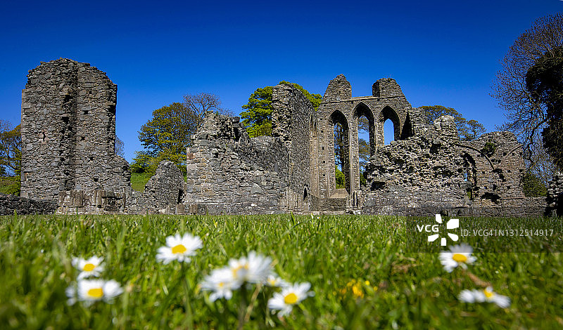 Inch Abbey，权力的游戏取景地图片素材