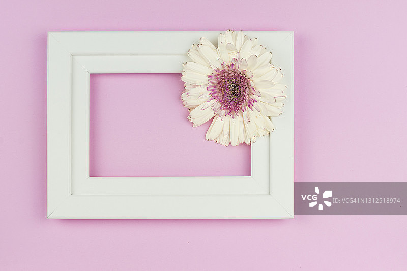 情人节粉色雏菊花卉相框图片素材
