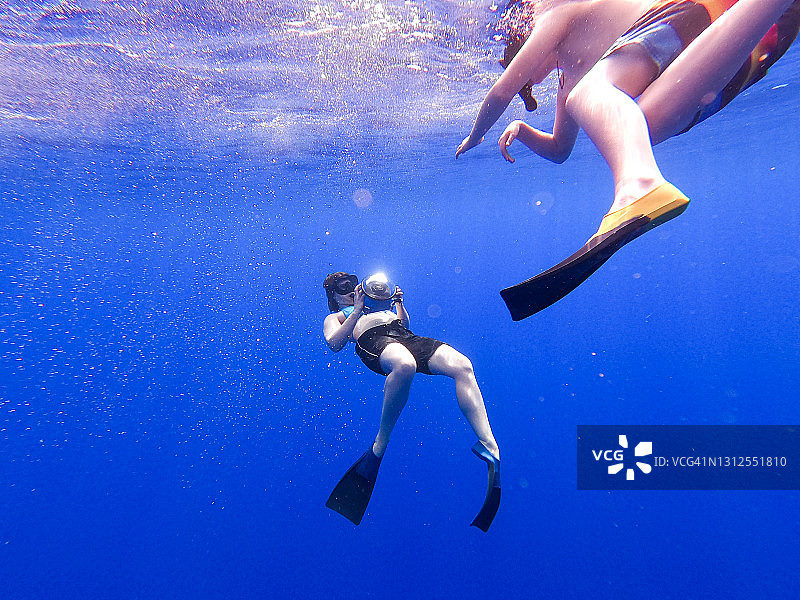 夏威夷蓝色海水中嬉戏的野生海豚图片素材