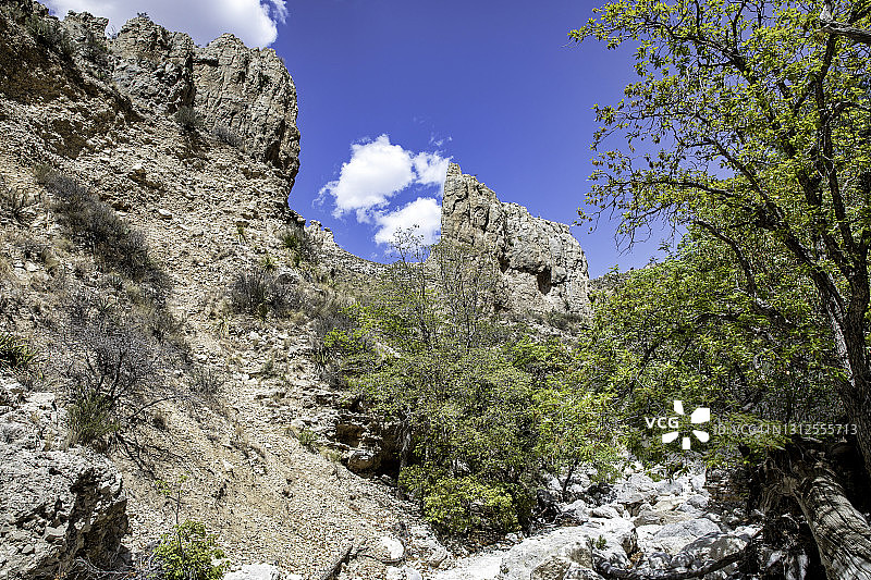 瓜达卢佩山国家公园风光图片素材