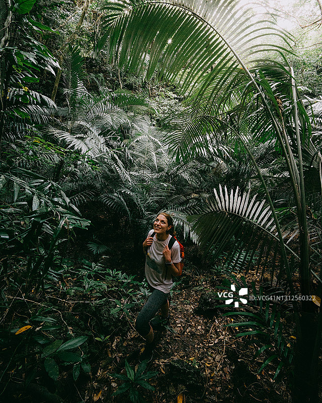 在日本八重山享受热带雨林，欣赏台湾棕榈树图片素材