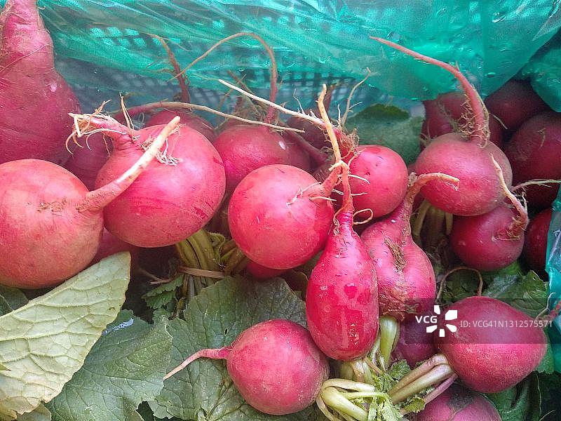 哈尼亚街头市场的新鲜萝卜展示，克里特岛，希腊图片素材