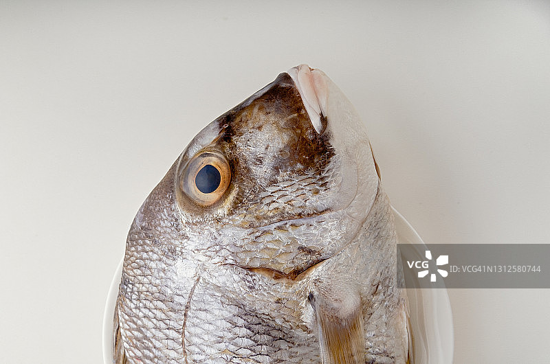 新鲜的鱼图片素材