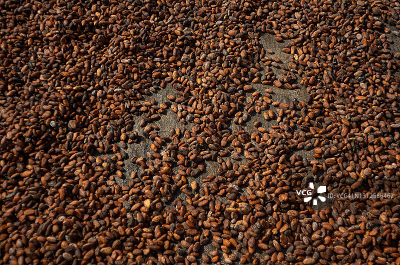 秘鲁巧克力工厂图片素材