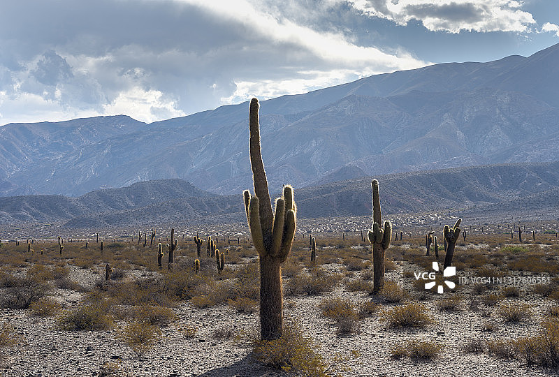 萨尔塔省卡奇附近的卡多内斯国家公园图片素材