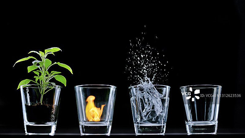 植物、火焰和水中的玻璃杯图片素材