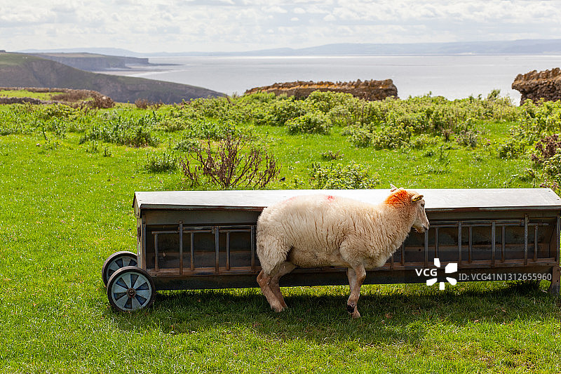 威尔士旅游图片素材