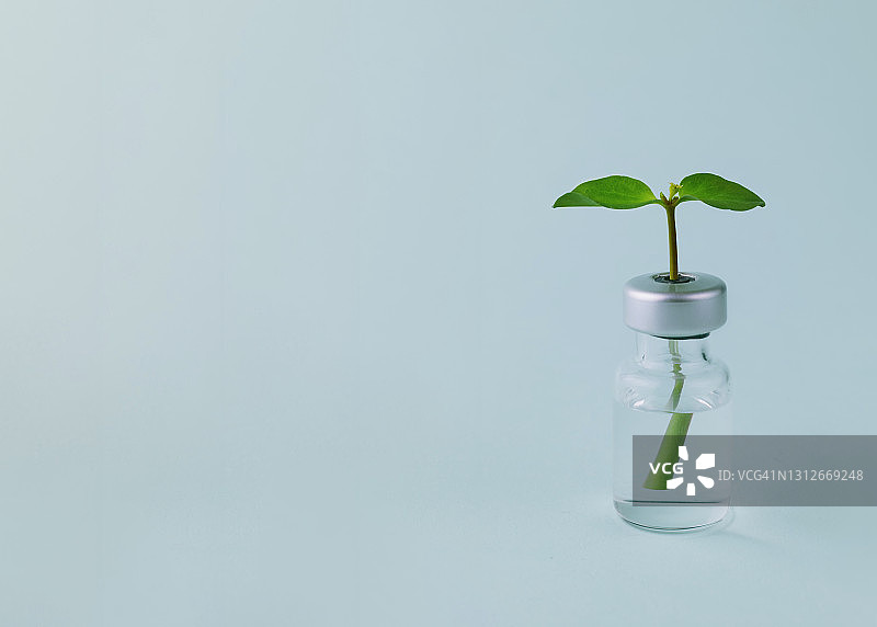 疫苗瓶特写，浅蓝色背景上显示小植物芽。疫苗赋予生命。生命与医学概念图片素材