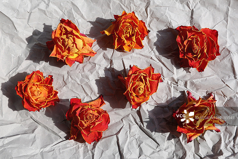 牛皮纸背景上的鲜红色和橙色玫瑰花植物标本图片素材