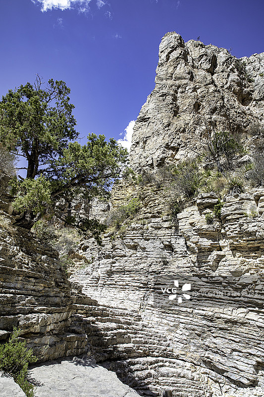 瓜达卢佩山国家公园景观图片素材