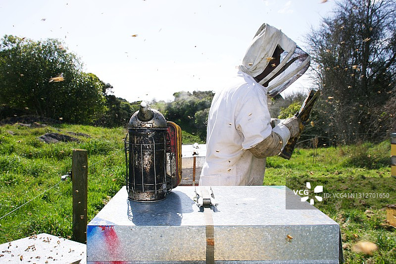 养蜂人春天清理蜂箱图片素材