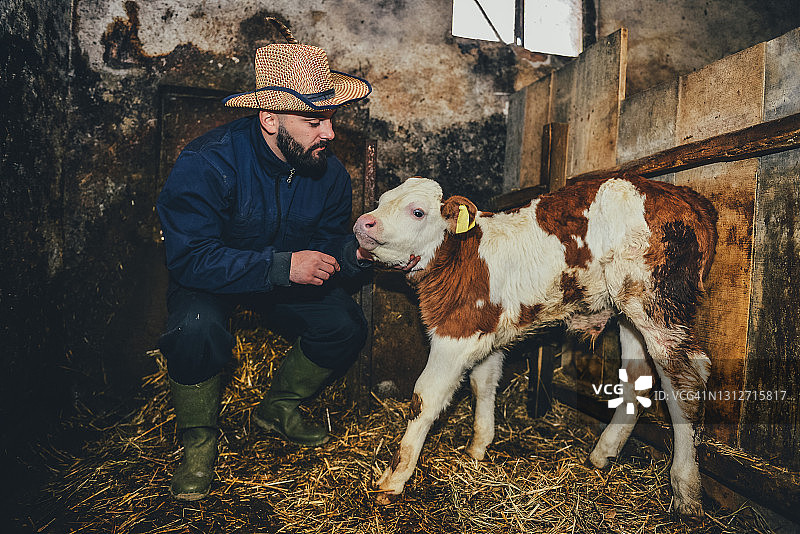 在谷仓工作的农民图片素材