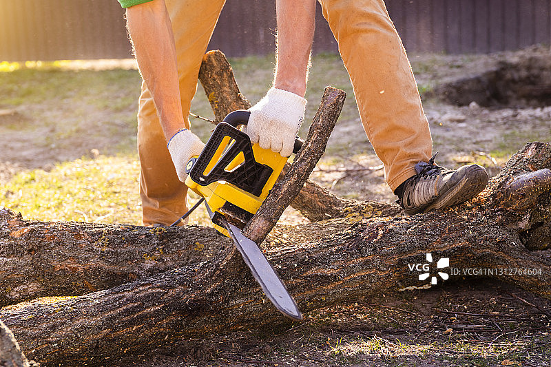 男子用电动链锯锯树，园艺工作图片素材