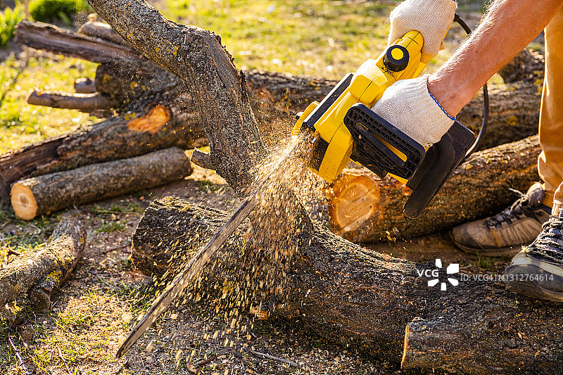 男子用电动链锯锯树，园艺工作图片素材