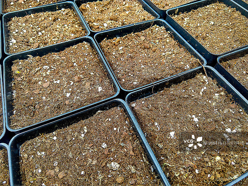 秧苗盘特写图片素材