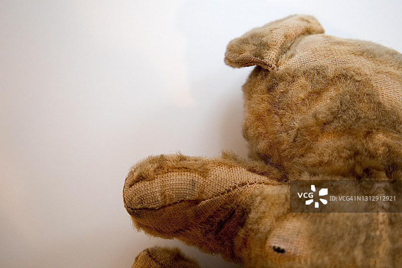 泰迪熊玩具照片解剖分析图片素材