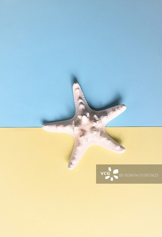 彩色背景上的海星图片素材