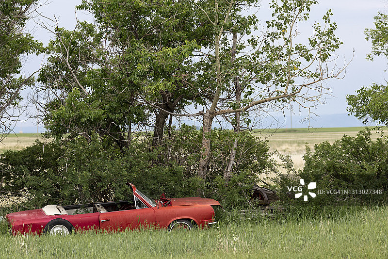 在乡村田野中腐烂的无顶红色汽车图片素材