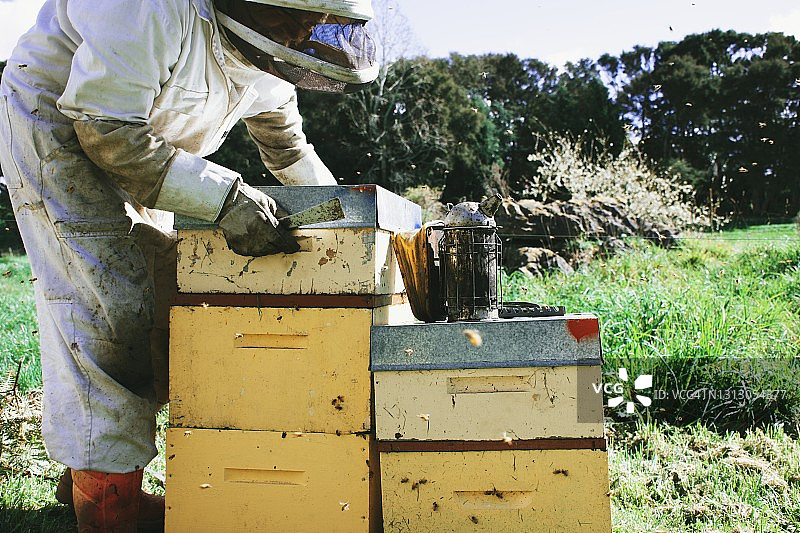 养蜂人春天清理蜂箱图片素材