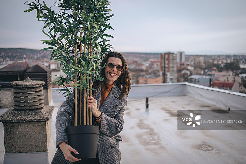 在屋顶上搬运盆栽竹子图片素材