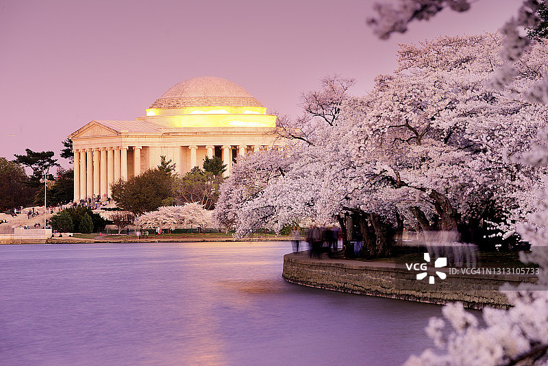 华盛顿特区樱花与杰斐逊纪念堂图片素材