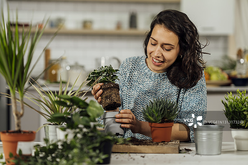 家庭园艺摄影图片素材