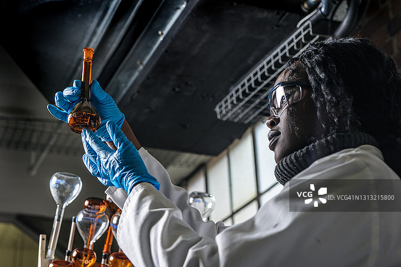 微生物学家检查烧瓶内容物图片素材