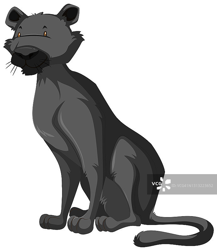 白色背景上的黑豹野生动物图片素材