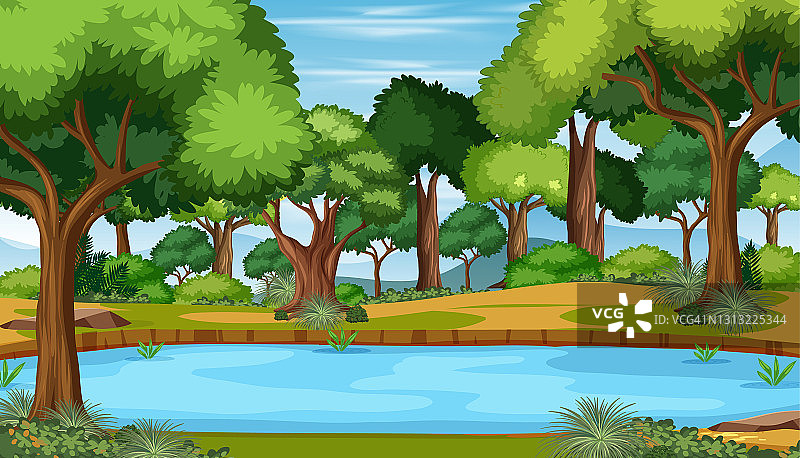 森林景观中的池塘图片素材